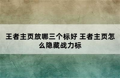 王者主页放哪三个标好 王者主页怎么隐藏战力标